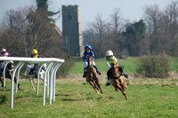 Pony Races -  2