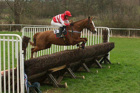 Race 5 - 35