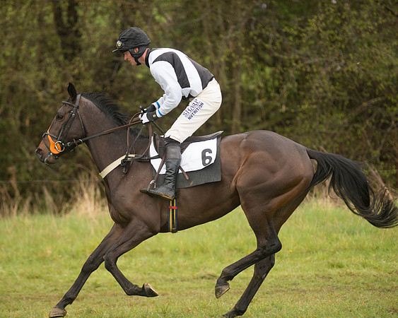 Race 5 - Open Maiden (57 of 147).jpg