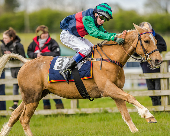 Pony Race 2 (55 of 77).jpg