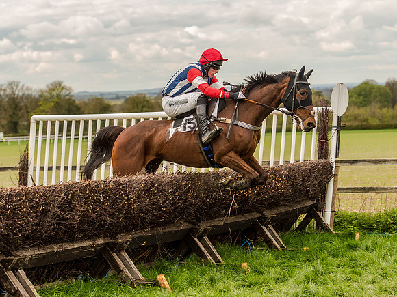 Race 3 - Young Horse maiden 2m5f (72 of 124).jpg