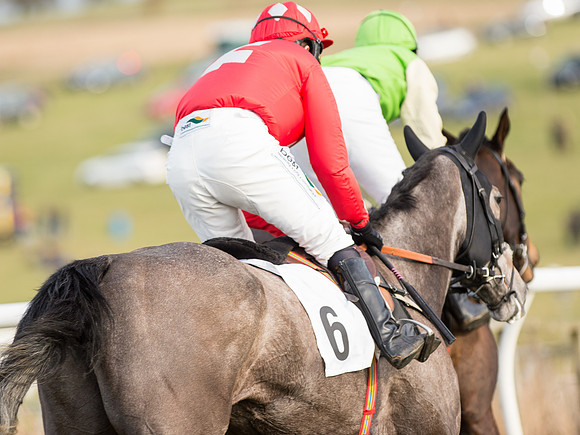 Race 6 - Open Maiden (60 of 110).jpg