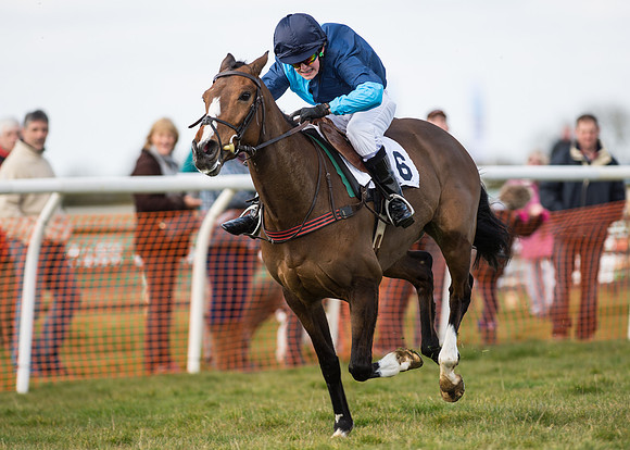 Pony Race 2 - 148cm -50