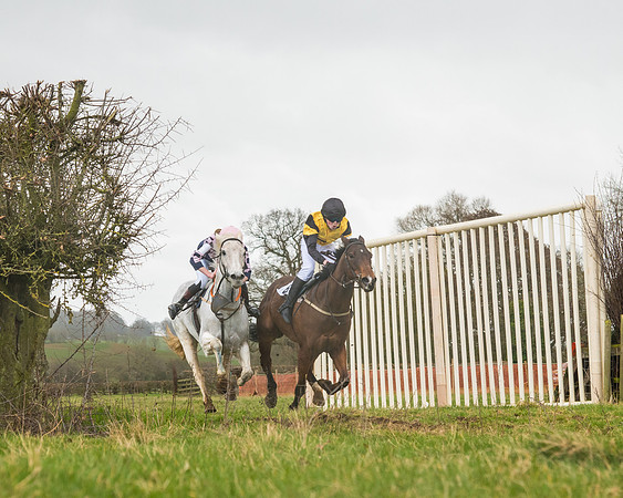 Pony Race 3 (63 of 67)