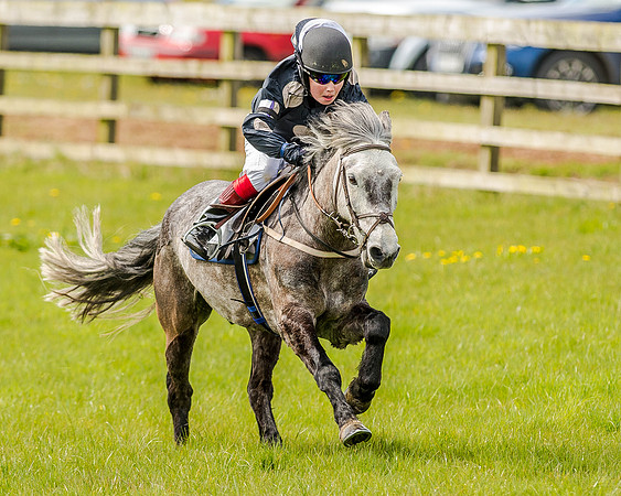 Pony Race 1  (42 of 65).jpg
