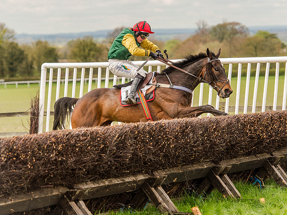 Race 1 - Confined Hunts (100 of 118).jpg