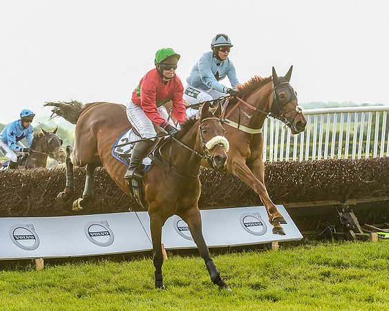 Race 7 - Div 2 - Open Maiden (91 of 163).jpg
