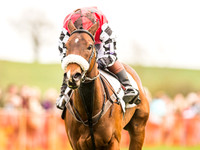 Pytchley Pony Races (108 of 167).jpg