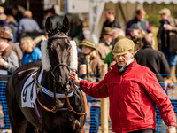Race 5 - The Southern Grand national (4 of 96).jpg
