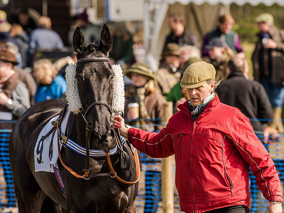 Race 5 - The Southern Grand national (4 of 96).jpg