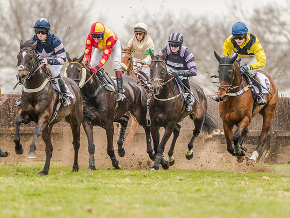 Race 5 - Open Maiden Division 1  (34 of 90).jpg