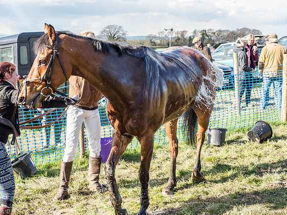 Race 6 - The Open Maiden (112 of 122).jpg