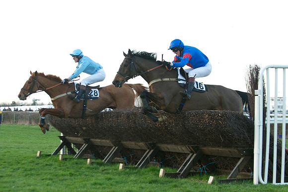 Race 9 -  46