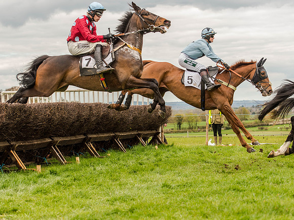 Race 3 - Young Horse maiden 2m5f (68 of 124).jpg