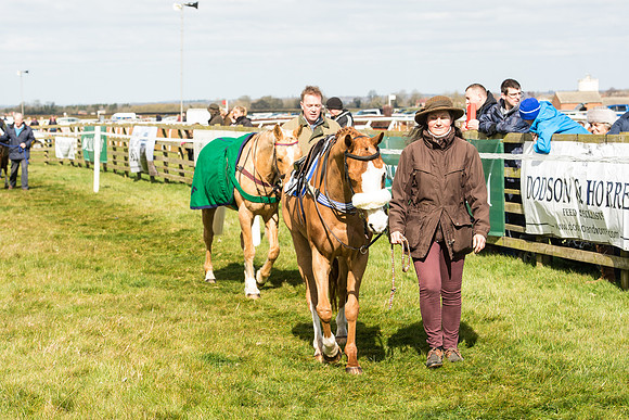 Pony Race 1 - 138cm -39