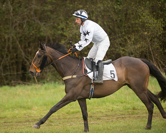 Race 5 - Open Maiden (36 of 147).jpg