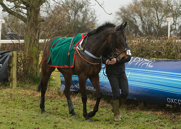 Race 1 - Confined Hunts (7 of 101).jpg