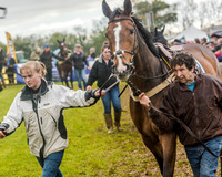 Race 5 - Open Maiden (8 of 147).jpg
