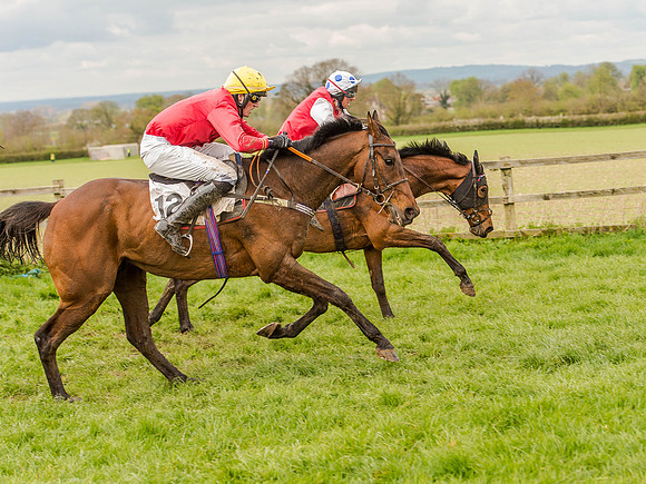 Race 1 - Confined Hunts (99 of 118).jpg