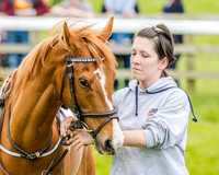 Pony Race 2 (7 of 57).jpg