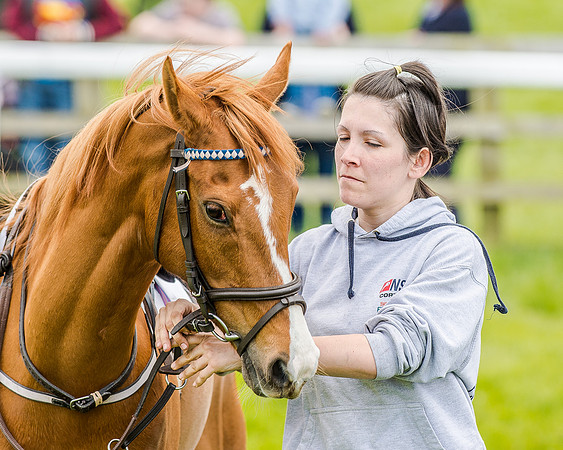 Pony Race 2 (7 of 57).jpg