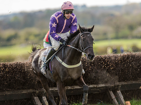 Race 5 - The Southern Grand national (63 of 96).jpg