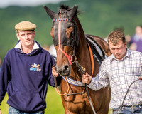 Race 7 - Div 1 - Open Maiden (15 of 94).jpg