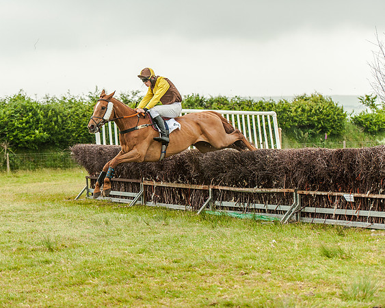 Race 1 - Hunt Members Race (25 of 37).jpg