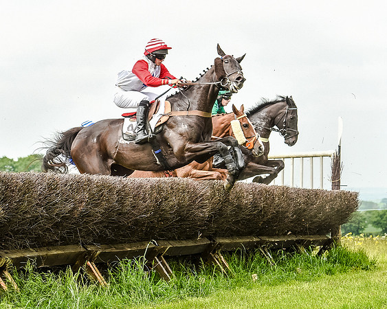 Race 2 - PPORA Members Novice Riders  (50 of 112).jpg