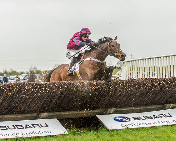 Race 3 - Ladies Open (50 of 86).jpg
