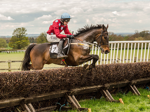 Race 3 - Young Horse maiden 2m5f (86 of 124).jpg