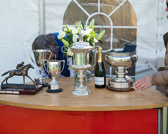 7 - Awards  (3 of 33)