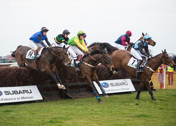 Race 7 - PPORA Novice Riders-34