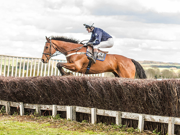 Race 5 - Mens Open [Nov-Vet] (56 of 68).jpg