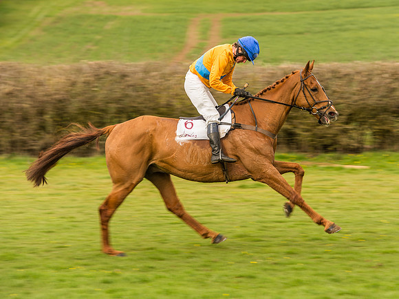 Race 6 - Open Maiden Division 1  (50 of 133).jpg