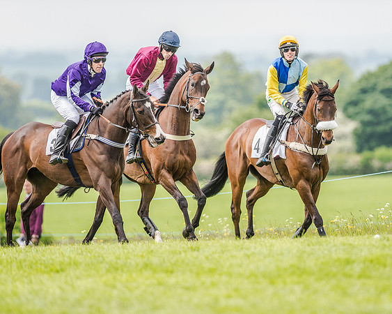 Race 2 - PPORA Members Novice Riders  (37 of 112).jpg