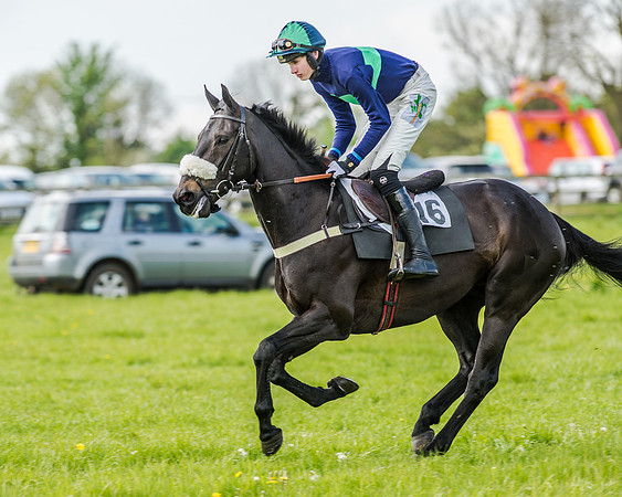 Race 4 - PPORA Novice Riders (74 of 196).jpg