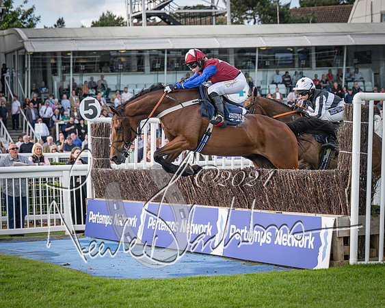 Race 2 - Olly Murphy Racing Stratford Ladies Open (73 of 111)