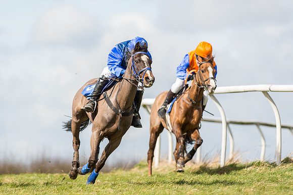 Pony Race 1 - 138cm  (18 of 57).jpg