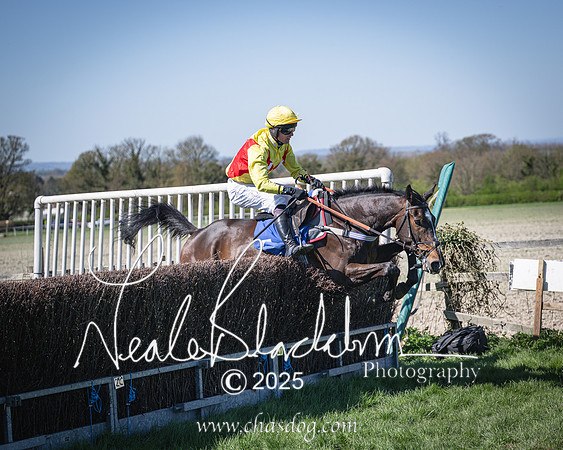 Race 2 - The Maiden (97 of 118)