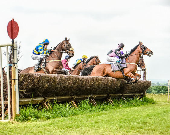 Race 2 - PPORA Members Novice Riders  (43 of 112).jpg