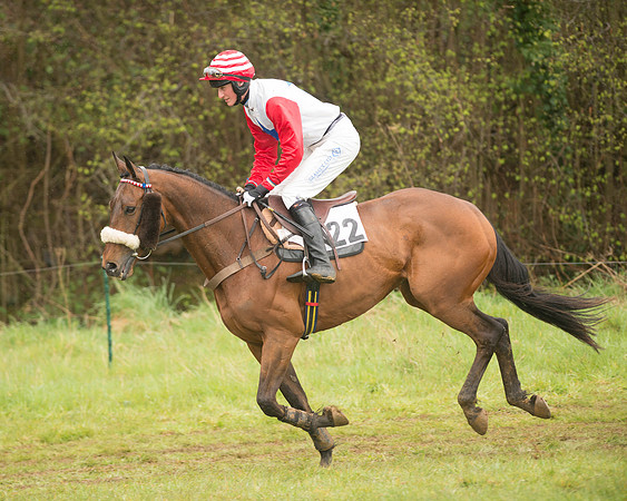 Race 5 - Open Maiden (31 of 147).jpg