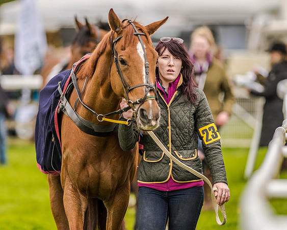 Race 2 - Open Maiden  (9 of 170).jpg