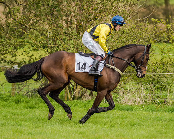 Race 7 - PPORA Members Conditions (38 of 192)
