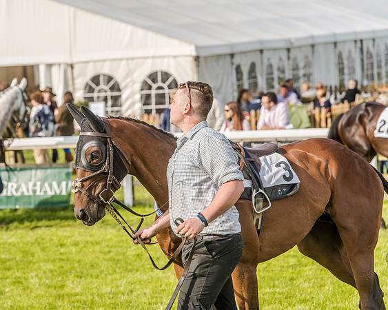 Race 6 - Open Maiden Race (9 of 176).jpg