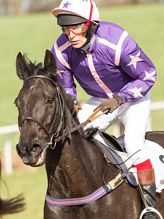 Race 4 - Novice and Veteran Riders race (28 of 46).jpg