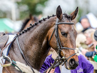Race 2 - TBA Club Members Race for Mares and Fillies (12 of 108).jpg