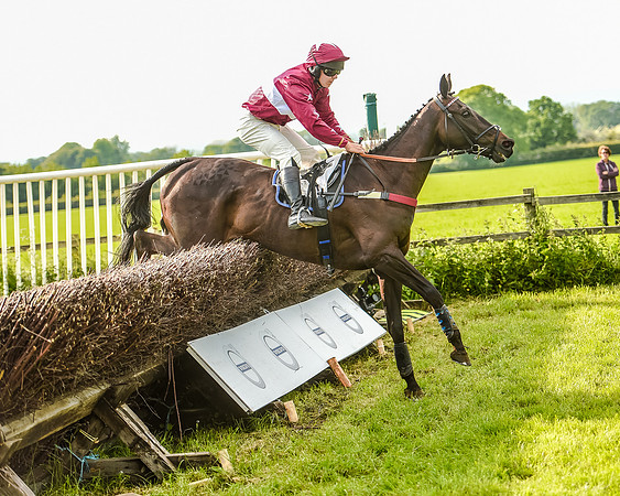 Race 7 - Div 1 - Open Maiden (73 of 94).jpg