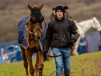 Race 4 - PPORA Novice Riders (10 of 132).jpg