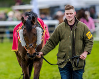 Race 4 - PPORA Novice Riders (17 of 151).jpg